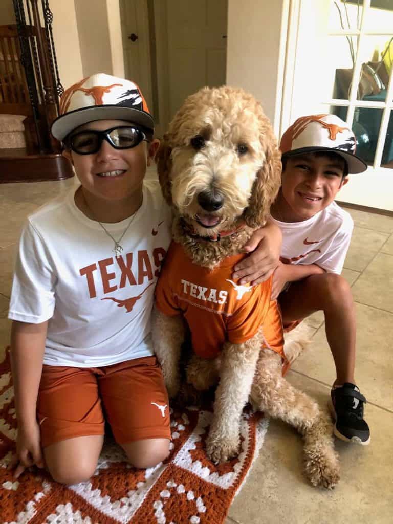 two brothers in UT football gear with their Goldendoodle wearing a jersey