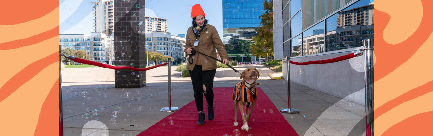 Thanks to Tito’s, Long Center Now Hosts Austin’s 🐶Cutest🐶 Art Installation